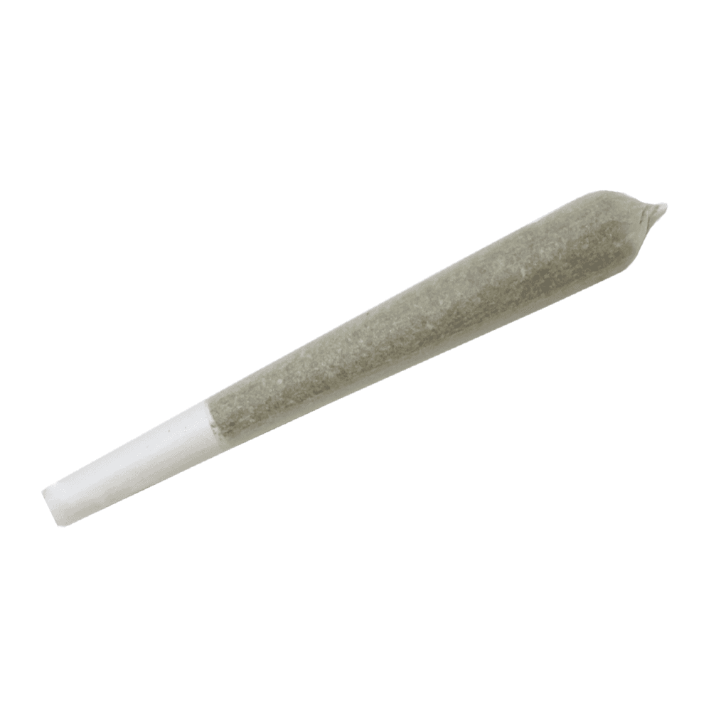 Cherry Dolce [.5g]